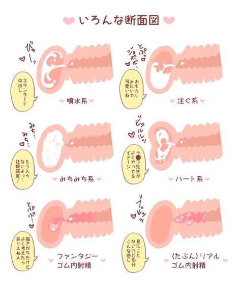 中出し 断面|断面図付きセックスGIFの二次エロ画像